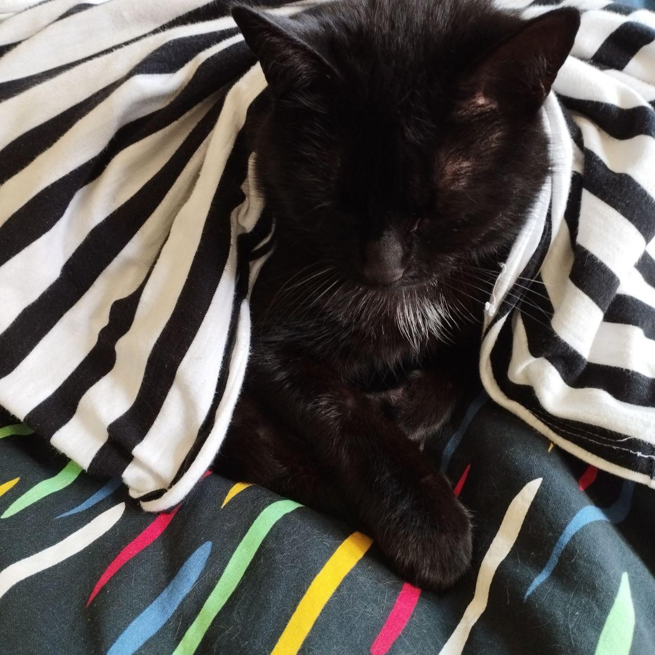 Foto von Maria Roth.